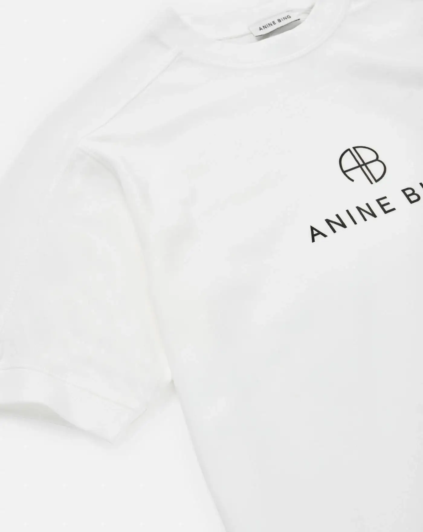 Camiseta Anine Bing Jaylin - Image 10